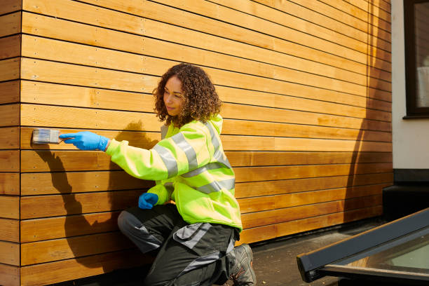 Best Steel Siding Installation  in Assumption, IL