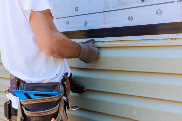 Best Vinyl Siding Installation  in Assumption, IL